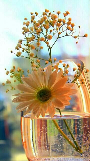 مدل رنگ روغن اورژینال